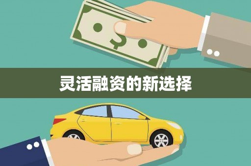 新都灵活融资的新选择