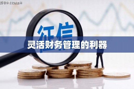 新都灵活财务管理的利器