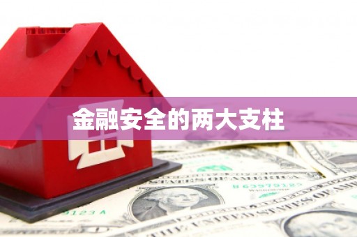 新都金融安全的两大支柱