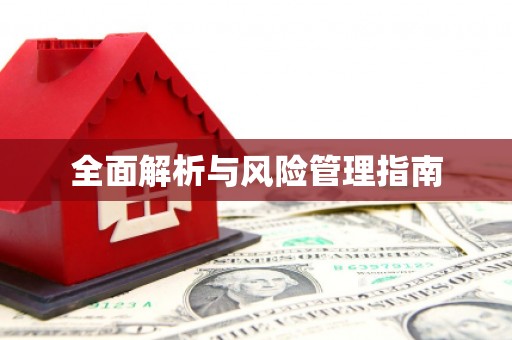 新都全面解析与风险管理指南