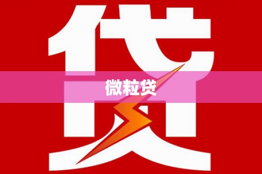 新都微粒贷