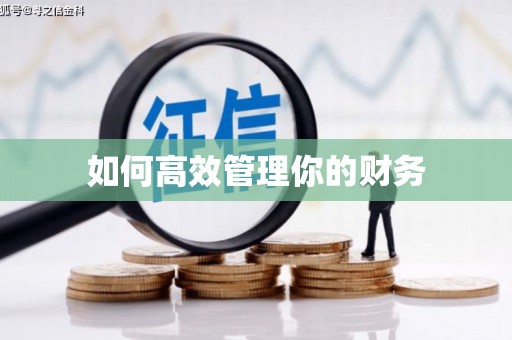 新都如何高效管理你的财务