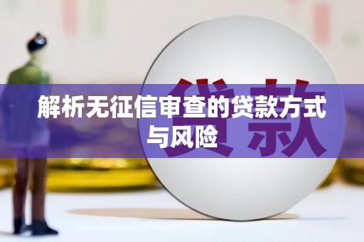 新都解析无征信审查的贷款方式与风险