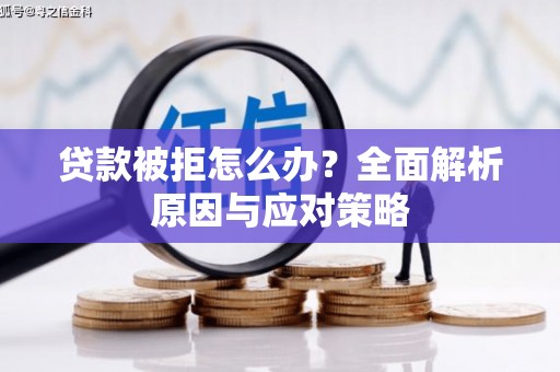 新都贷款被拒怎么办？全面解析原因与应对策略