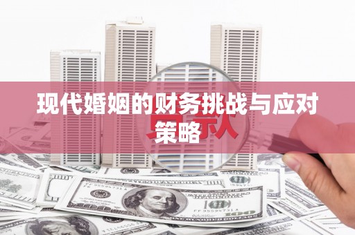 新都现代婚姻的财务挑战与应对策略