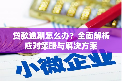 新都贷款逾期怎么办？全面解析应对策略与解决方案