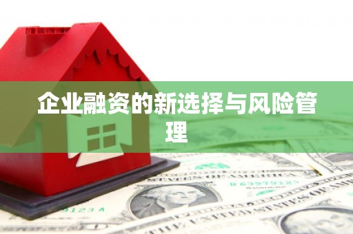 新都企业融资的新选择与风险管理