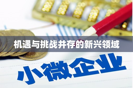 新都机遇与挑战并存的新兴领域