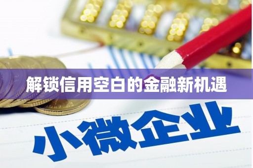 新都解锁信用空白的金融新机遇