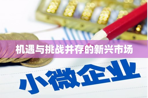 新都机遇与挑战并存的新兴市场