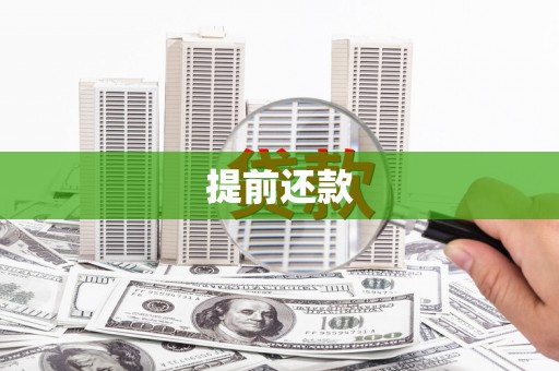 新都提前还款