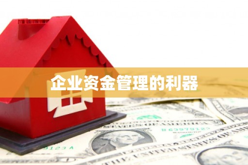 新都企业资金管理的利器