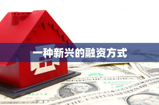 新都一种新兴的融资方式