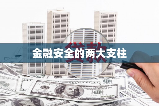 新都金融安全的两大支柱
